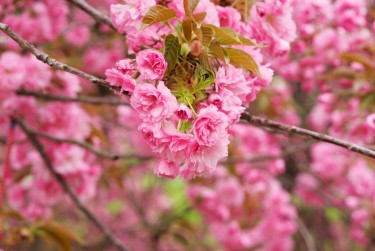 无锡新吴区2线下个人借款平台一站式服务，轻松解决资金难题