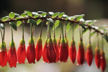 无锡新吴区2零用贷短借：轻松解决临时资金需求