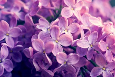 无锡新吴区2企业急用钱贷款攻略：快速融资解燃眉之急